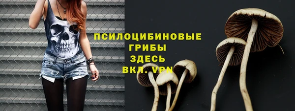 прущий лед Пересвет