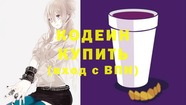 прущий лед Пересвет
