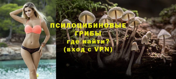 прущий лед Пересвет