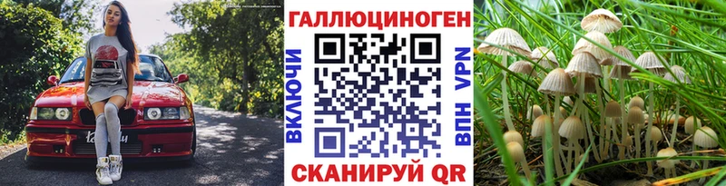 наркошоп  Свирск  Галлюциногенные грибы GOLDEN TEACHER 